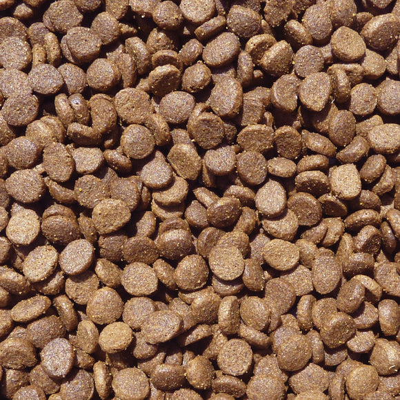 Cat Food