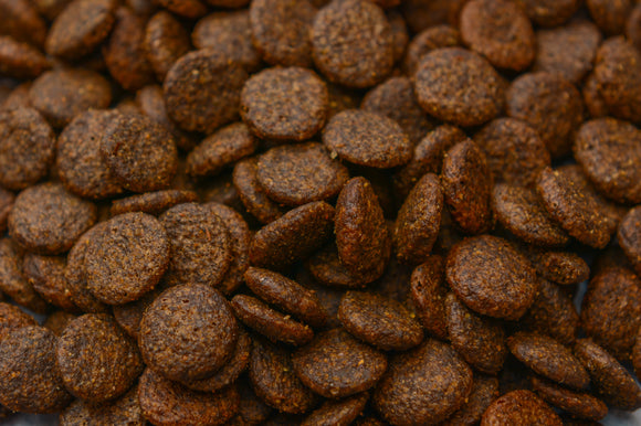 Grain Free Dog Food