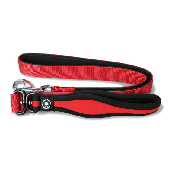 Leads & Collars