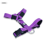 Bully Billows Mini Tri Harness Purple XS