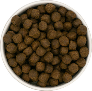 Grain Free WD Large Breed Puppy Salmon 15kg