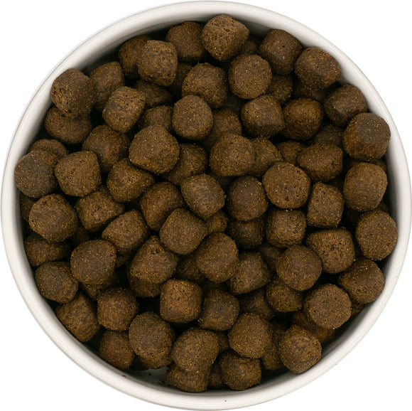 Grain Free WD Large Breed Puppy Salmon 15kg