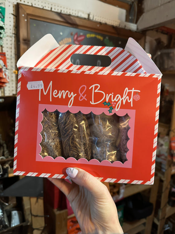 Bird Food Xmas Gift Set