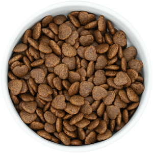 Peptide Adult Dog Gastrointestinal Digestive Care 10kg