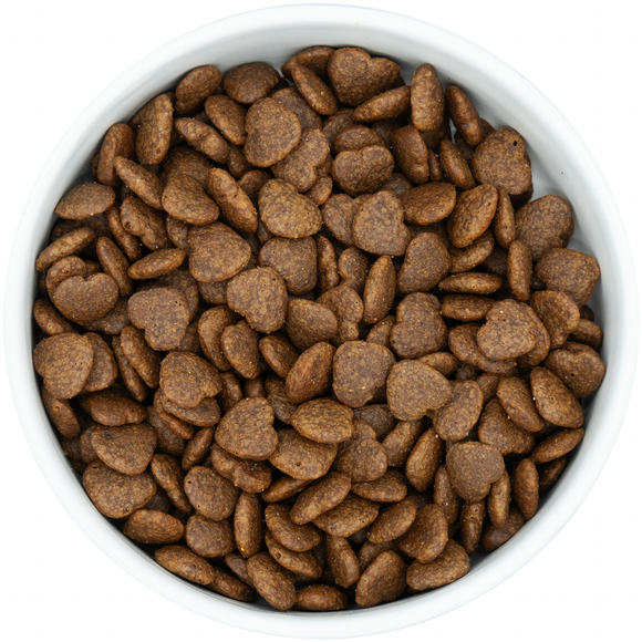Peptide Adult Dog Gastrointestinal Digestive Care 10kg