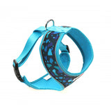 Doodlebone Airmesh Harness Blue Electric Party Size 3