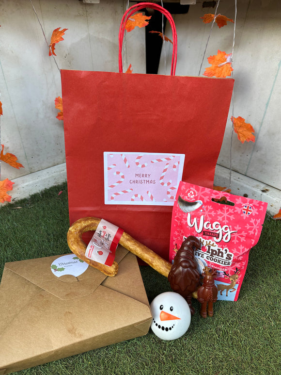 Christmas Goody Bag Medium
