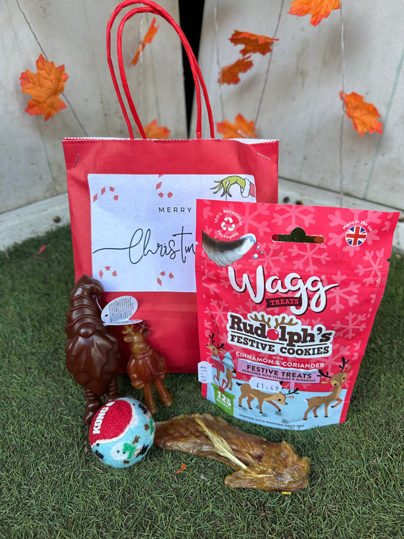 Christmas Goody Bag Small