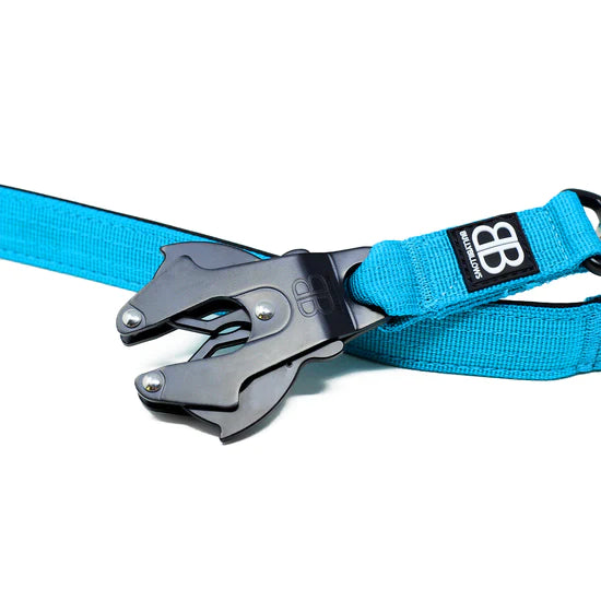 Bully Billows Training Lead Light Blue