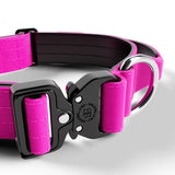 Bully Billows Combat Collar 4CM Magentas Medium