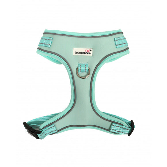 Doodlebone Mint Harness Size 3-5