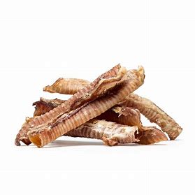 Lamb Trachea