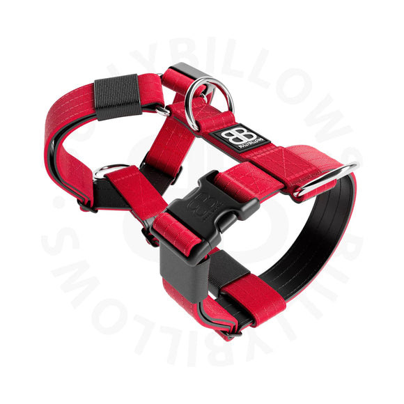 Bully Billows Tri Harness Red Small (A)