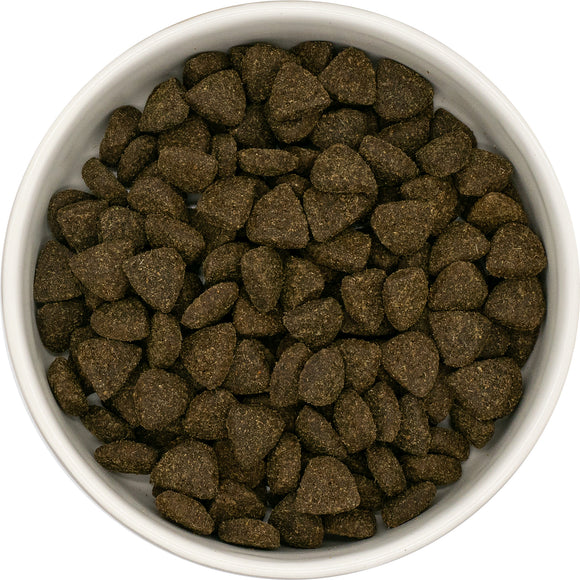 Superfood 65 Adult Dog Lamb 2kg