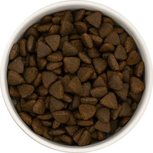 Superfood 65 Adult Salmon 2kg