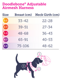 Doodlebone Watercolour Harness Size 1-2