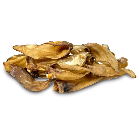 Buffalo Ear Small