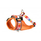Doodlebone Watercolour Harness Size 1-2