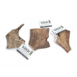 Highland Fallow Antler Large