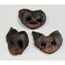Wild Boar Snout