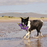 Beco Recycled Rough & Tough Narwhal Large