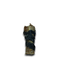 Tripe Wrapped Bully Tube