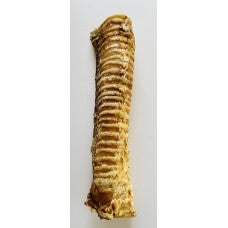Anco Giant Trachea