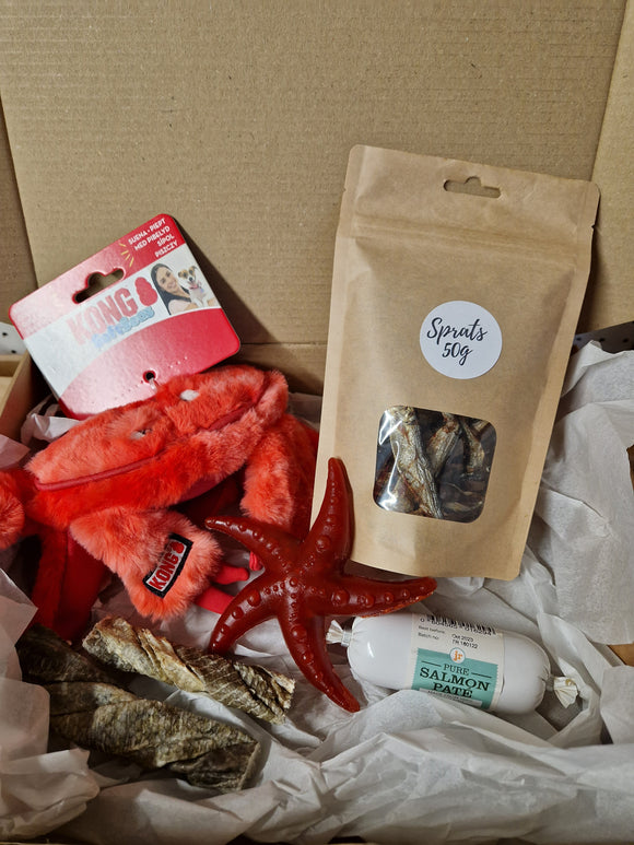 Under The Sea Box