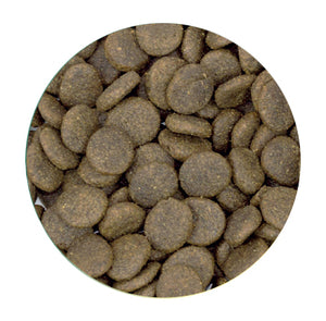 Grain Free Senior Fish 12kg