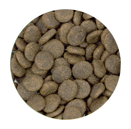 Grain Free Light Trout 2kg