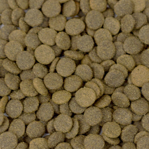 Grain Free Lamb 2kg