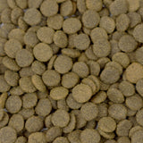 Grain Free Lamb 6kg