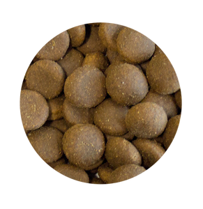 Grain Free Large Breed 2kg