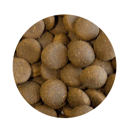 Grain Free Large Breed 2kg