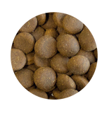 Grain Free Large Breed 2kg