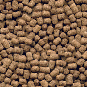 TBV Puppy 2kg