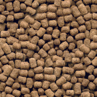 TBV Puppy 2kg
