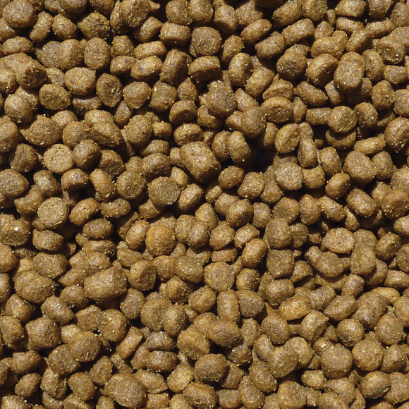 TBV Kitten 6kg