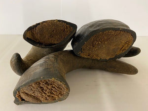 Filled Buffalo Horn With Peanut Butter