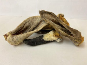 Hairy Lamb Ear