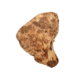 Anco Roots Medium