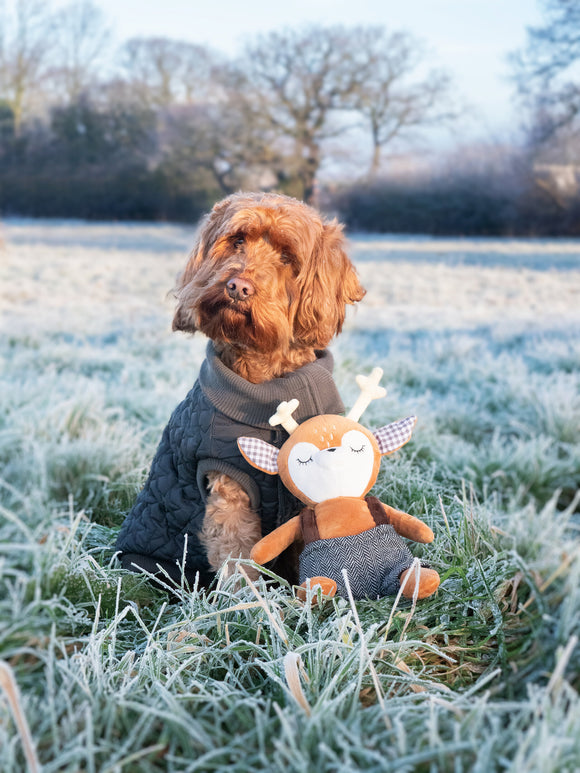 Robbie Reindeer Toy