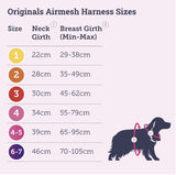 Doodlebone Airmesh Harness Yellow Size 4/5