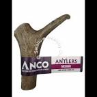Anco Antlers Medium