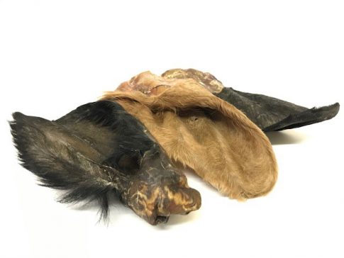 Hairy Cow Ears Single