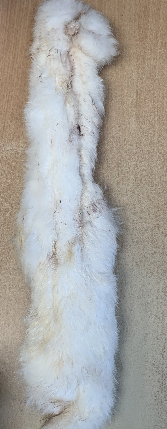 Giant Rabbit Skins