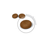 Royal Canin Hair & Skin 4kg