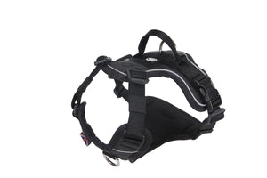 Bully Billows Hurricane Harness Black Medium (C)