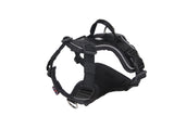 Bully Billows Hurricane Harness Black Medium (C)