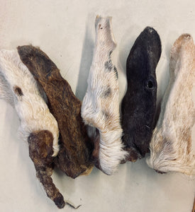 Hairy Goat Ear